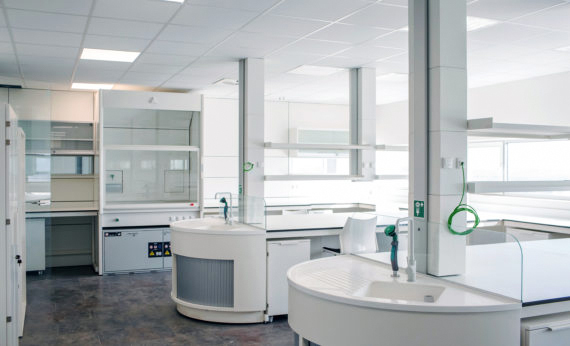 Cell：揭示哺乳動物卵細(xì)胞儲存早期胚胎發(fā)育所需的蛋白機制