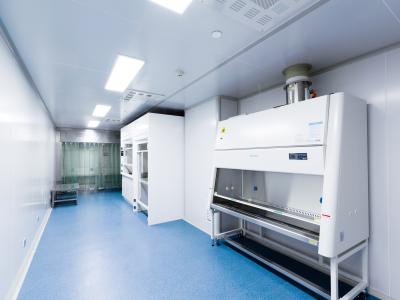 GMP凈化車(chē)間裝修施工 GMP潔凈室設(shè)計(jì)標(biāo)準(zhǔn)：參數(shù)及案例