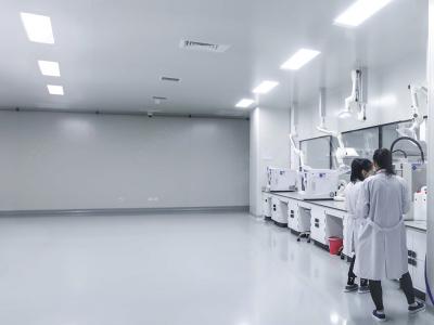 潔凈生產(chǎn)車(chē)間  GMP車(chē)間精裝修設(shè)計(jì)說(shuō)明 CEIDI西遞